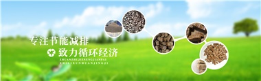 倪維斗院士：通過技術創(chuàng)新，大力發(fā)展超級能源生物質(zhì)燃料
